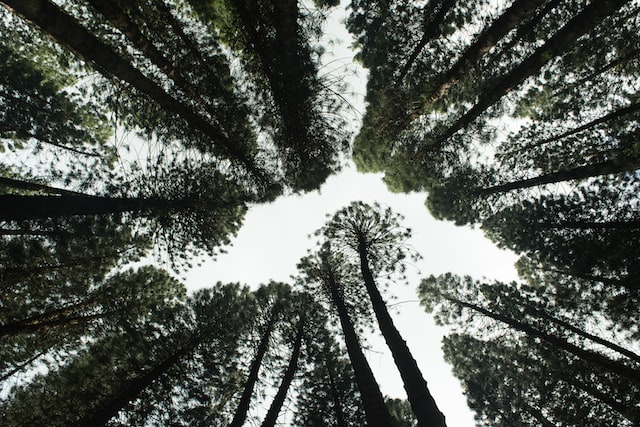 brian-garrity-TeK76JR3JPA-unsplash