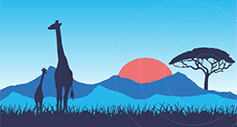 Illustration of giraffes