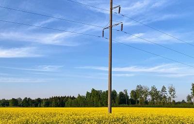 Electric supply pole in middle of field