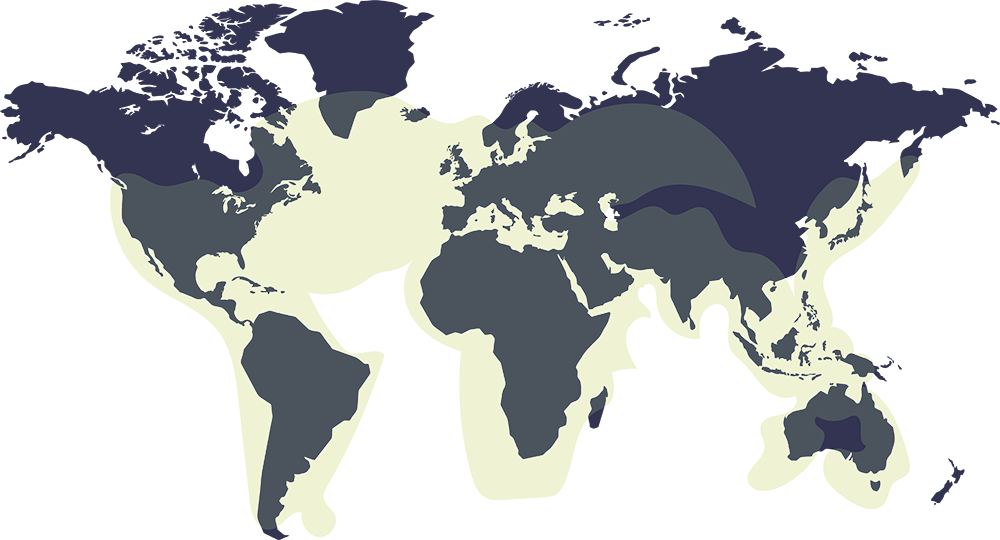 Kymeta-Coverage-Map
