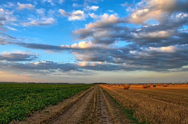 farming field