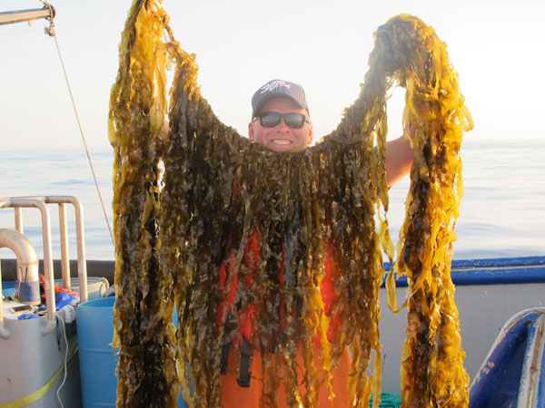 Running-Tide-Kelp-Harvest_web_edited
