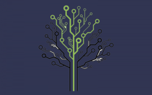 Decision tree for satellite connectivity