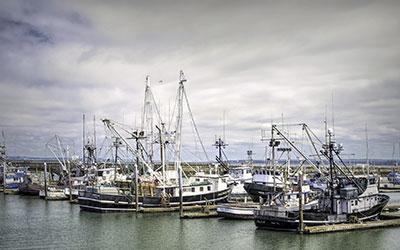 Fishing-vessel-fleet