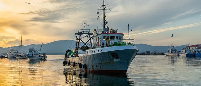 Fishing vessel