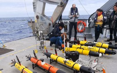 Mapping Ocean Fronts with Robotic Fleets