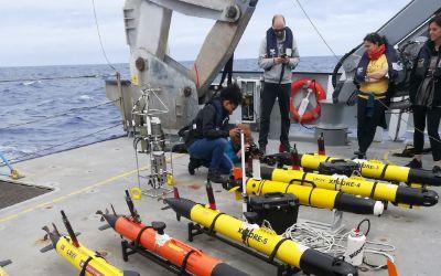 Mapping Ocean Fronts with Robotic Fleets and the RockBLOCK