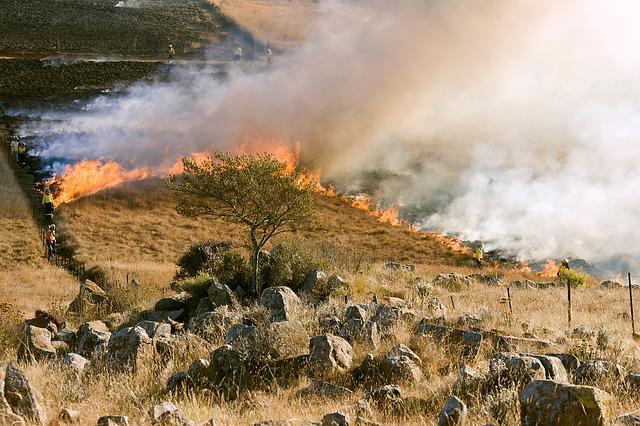 grass-fire