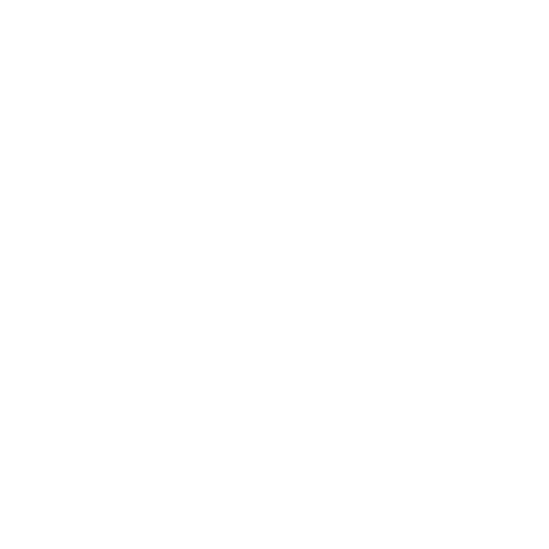 Jammed-Signal-Icon-White