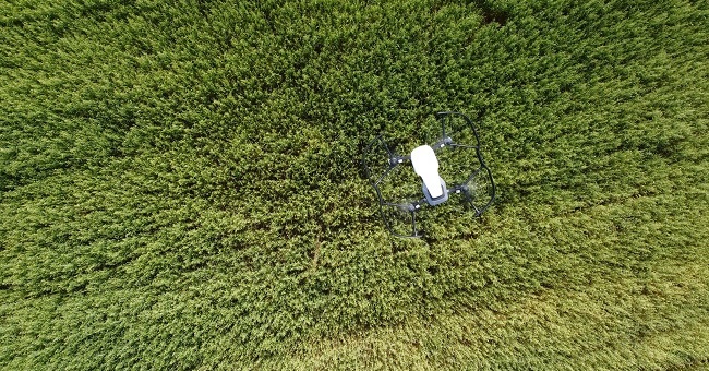 Drone-flying-over-crop-field