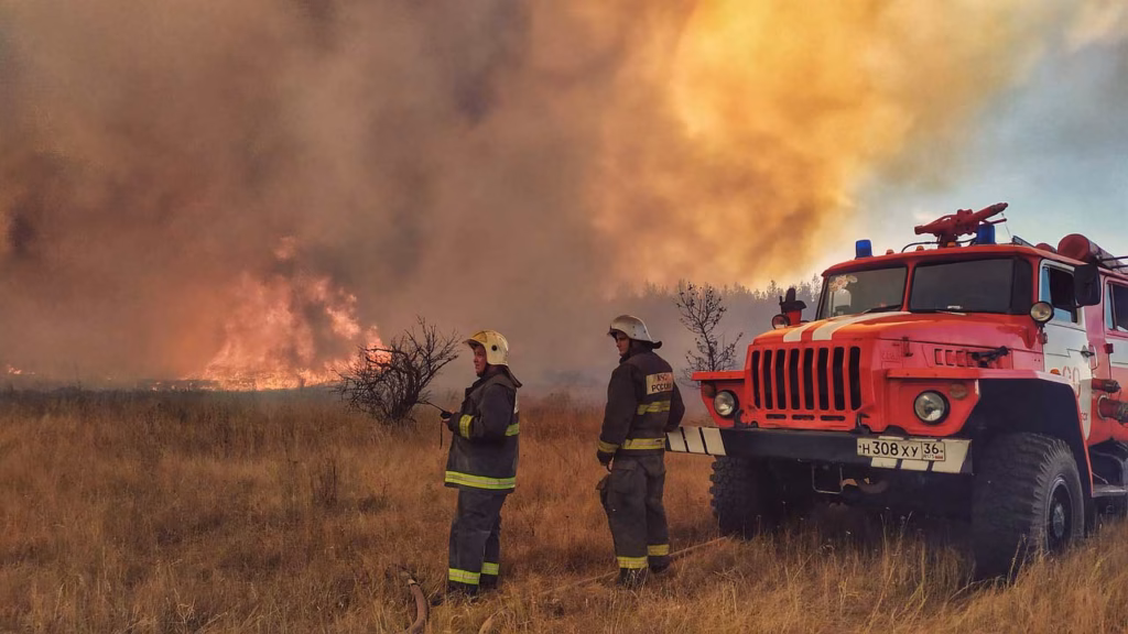 Firefighters in wildland