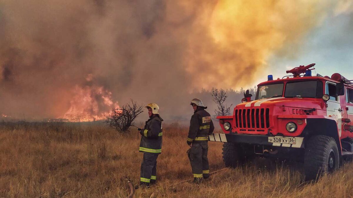 Firefighters in wildland