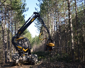 Heavy Machinery Ponsse Scorpian working in the forest