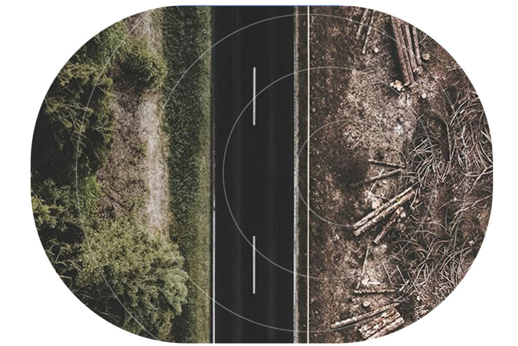 Aerial view of forestry operations
