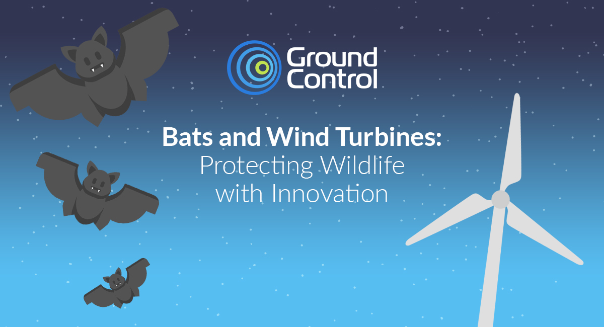 Protecting Bats at Wind Turbines: How Technology Is Reducing Wildlife Impact [Infographic]