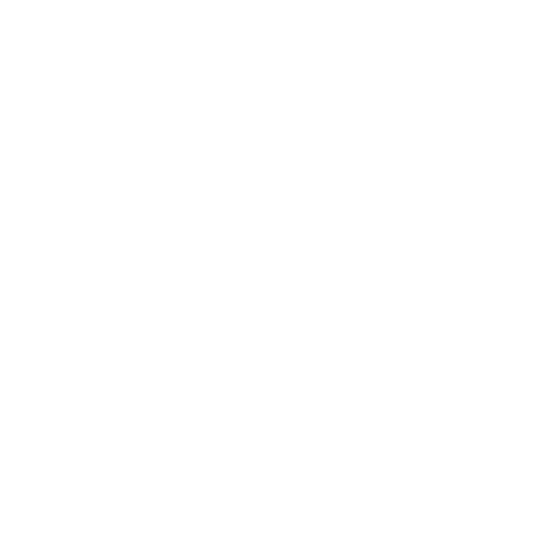 Archive Box White