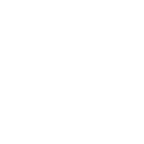 Bug-Icon-White