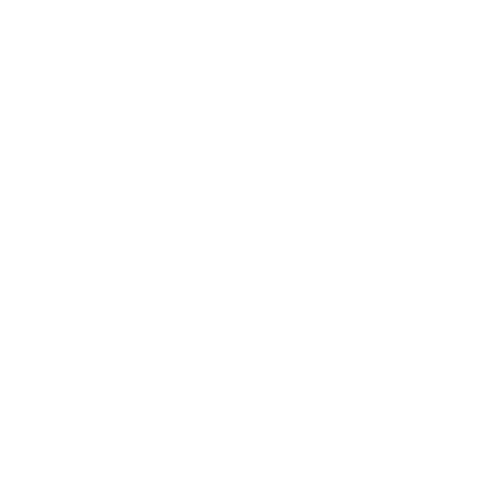 Gauge Icon White