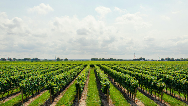 Precision-Agriculture