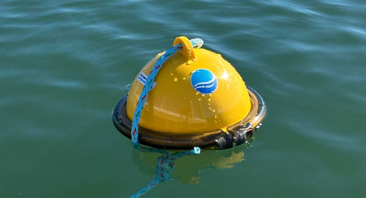 Blue Ocean Gear Blog Post Thumbnail