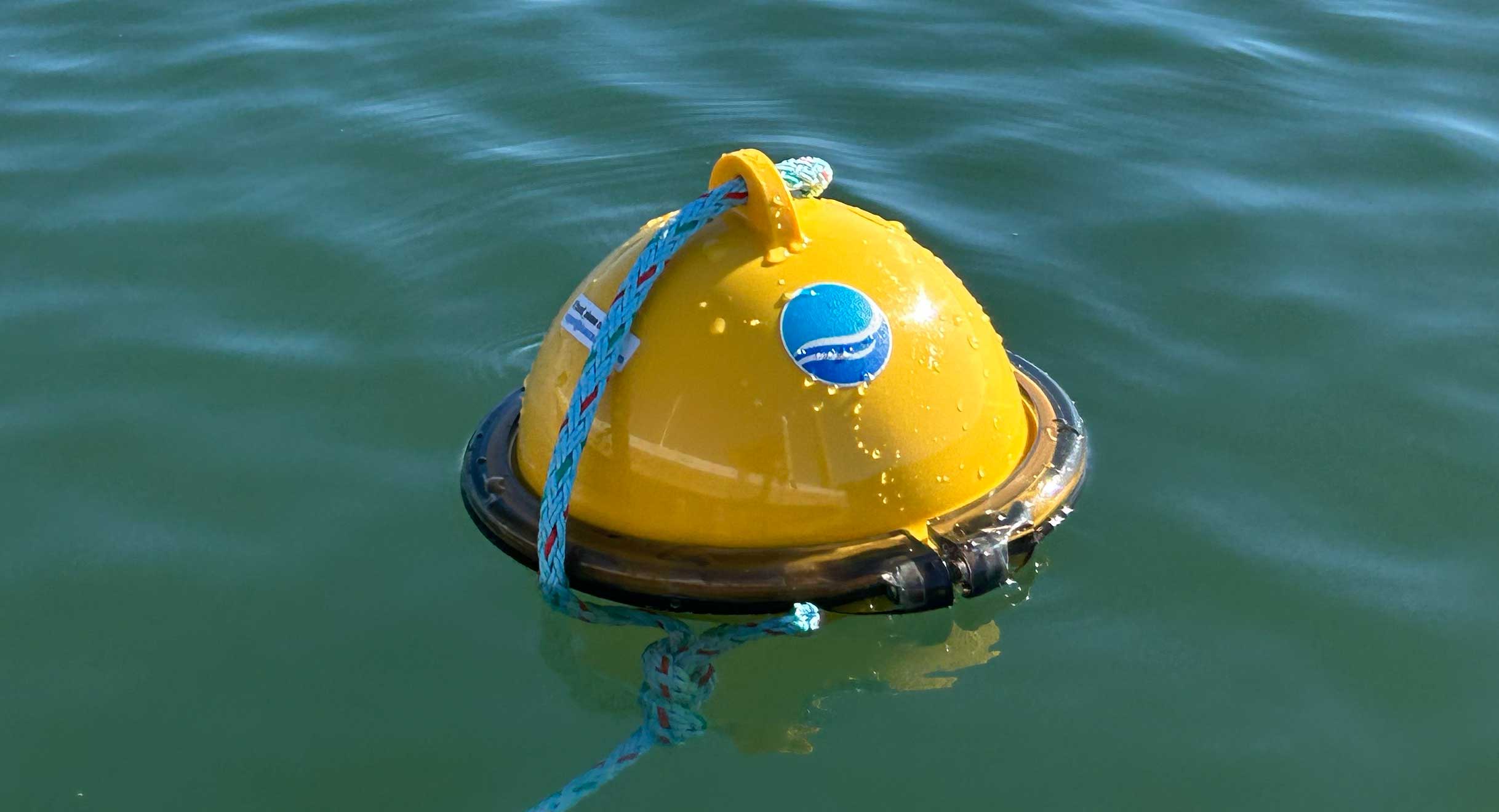 Blue Ocean Gear Blog Post Thumbnail