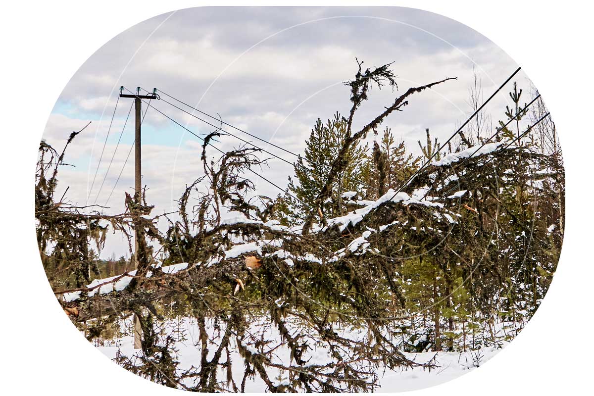 Image-of-power-lines-taken-down-by-a-storm
