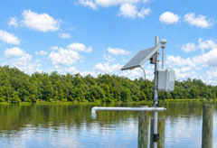 Green Stream Thumbnail