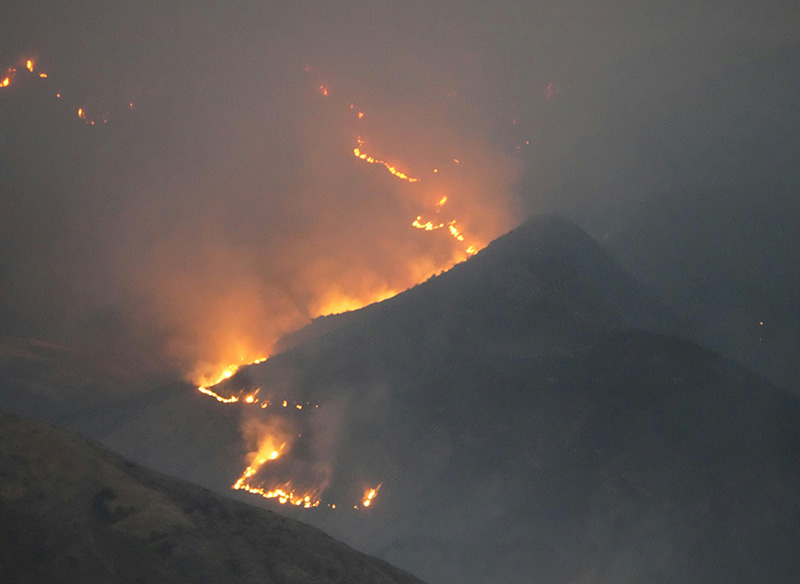 Thumbnail for wildfire monitoring blog post