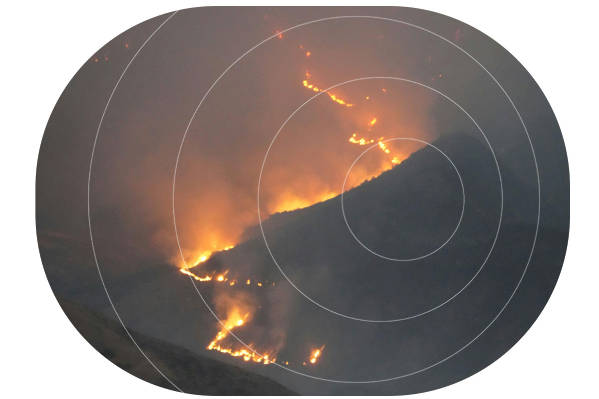 Wildfire-Image