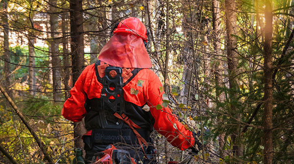 Image-of-Lone-Worker-in-Forest