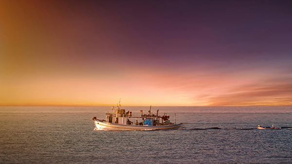 Commercial and Sport Fishing