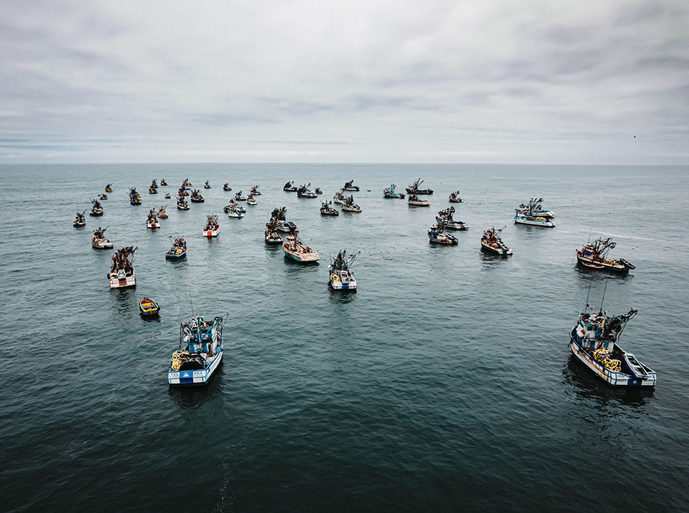Fishing fleet