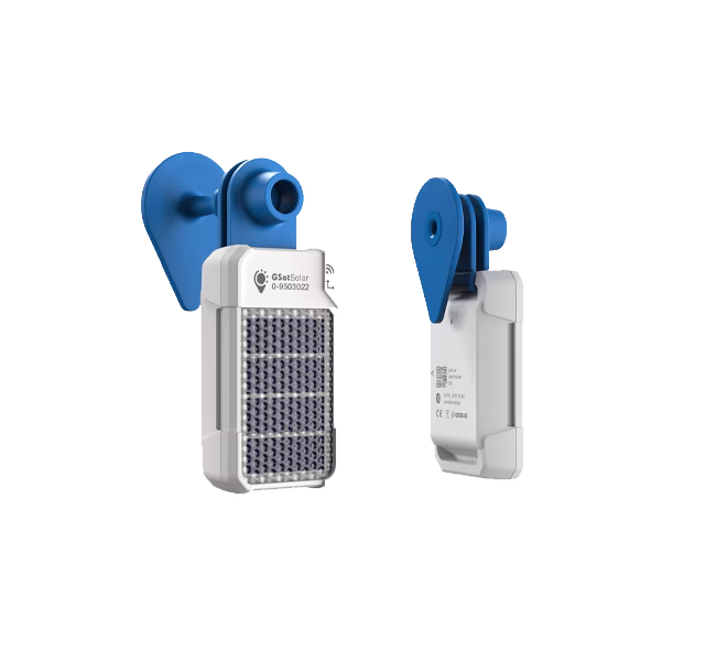 GSatSolar with Livestock Ear Tag