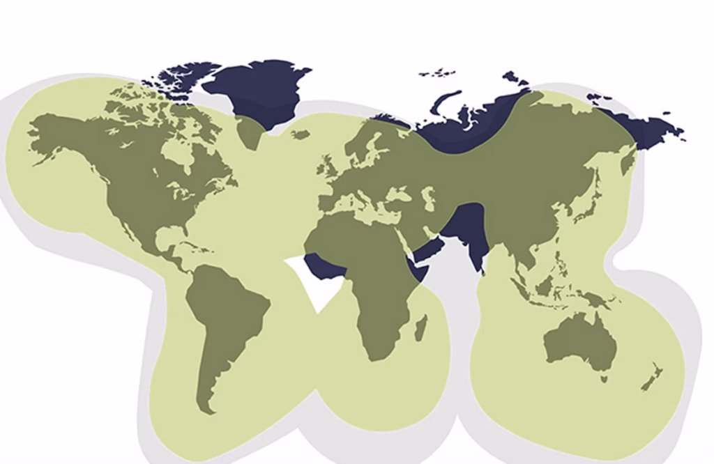 Globalstar Coverage Map