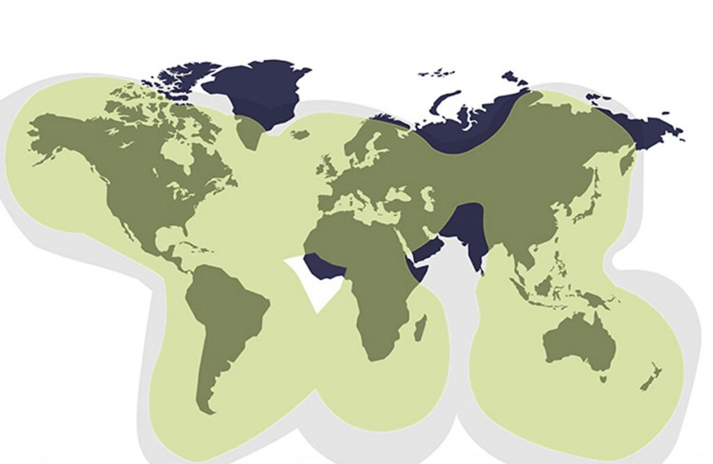 Globalstar Coverage Map