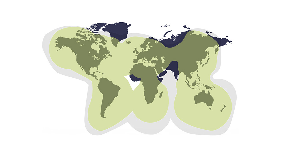 Globalstar Coverage Map