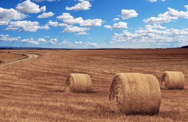 Hay bales under blue sky