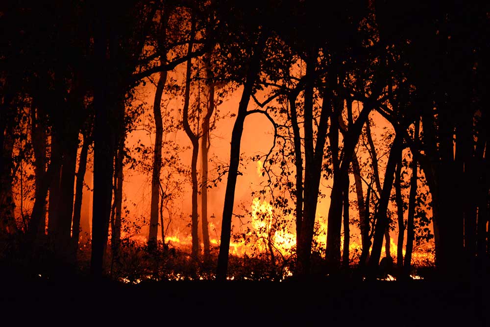 Image of wildfire in wooded area