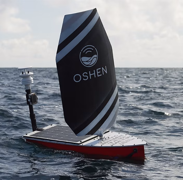 Thumbnail for OSHEN Case Study