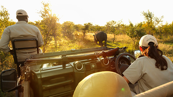 Tour Guides & Conservationists