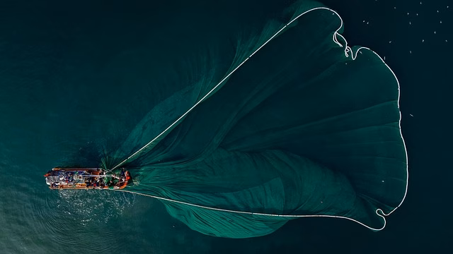 Fishing boat from above