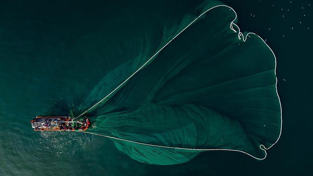 Fishing boat from above